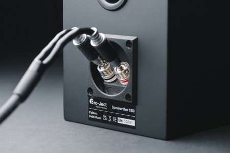Pro-Ject Speaker Box 3E Carbon detail terminal-1.jpg
