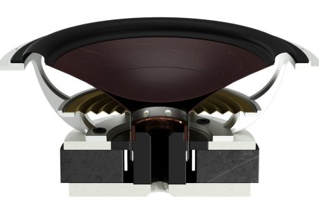 DALI EPIKORE 11 - Cut Woofer.jpg