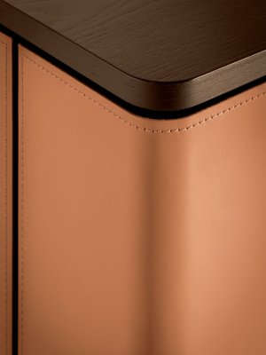 18_fidelio-leica-multimedia-cabinet.jpg