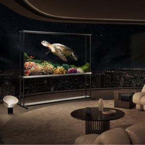 oled-t4-2025-output-cut12.jpg