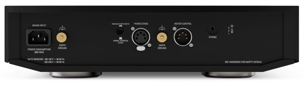 Klimax Radikal_Black_Rear.jpg