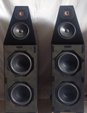 WA WATT+PUPPY_avant.jpg