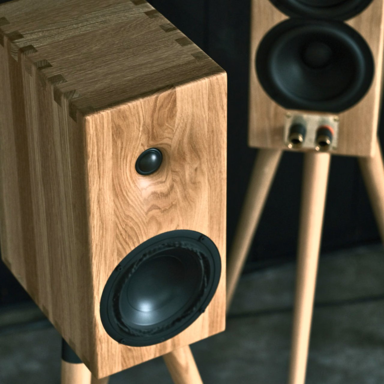 Buchardt Audio E50 : enceinte Hifi compacte à ébénisterie en bois massif, boomer Purifi et radiateurs passifs