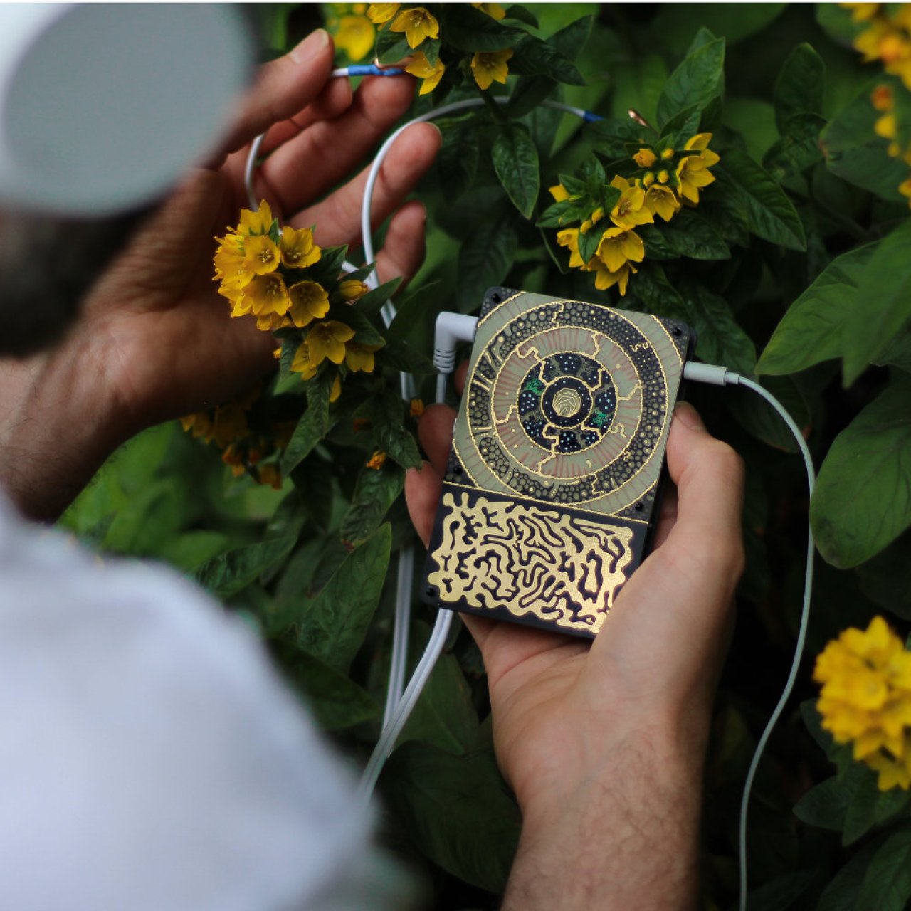 Instruō Pocket Scion : écouter le chant des arbres, légumes, plantes et champignons