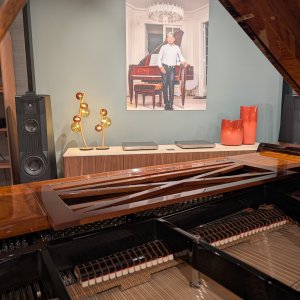 Studio_Hifi_x_Roche_Bobois_x_Devialet_Versailles-00003.jpg
