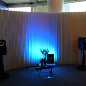 Salon Haute fidelité 2025 (85).JPG