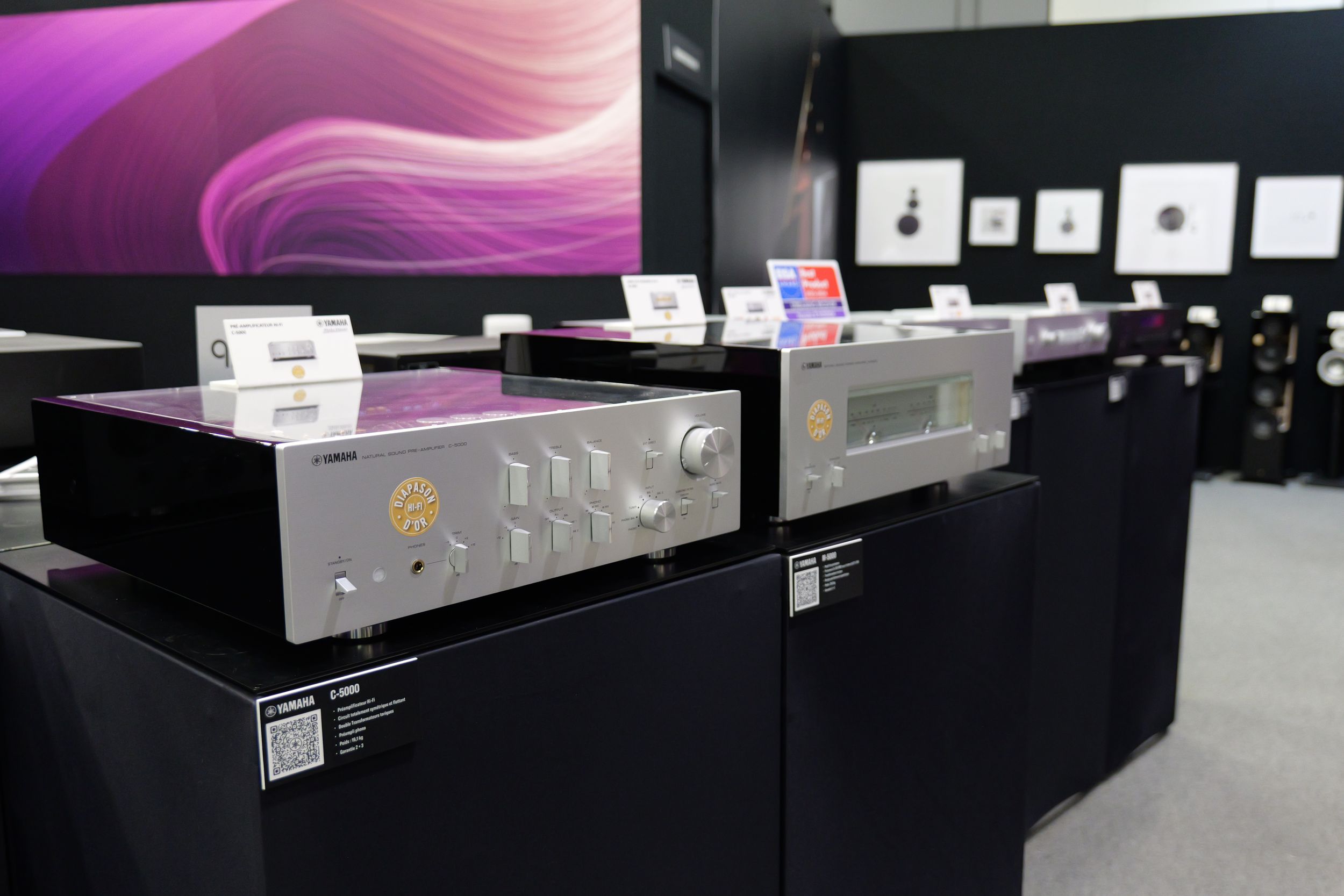 Paris_Audio_Video_Show_2025_reportage_Guifou_pour_ON-mag-00025.JPG